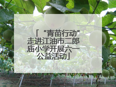 “青苗行动”走进江油市二郎庙小学开展六一公益活动