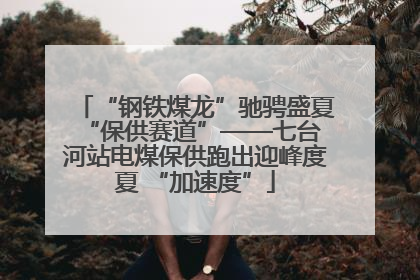 “钢铁煤龙”驰骋盛夏 “保供赛道”——七台河站电煤保供跑出迎峰度夏 “加速度”