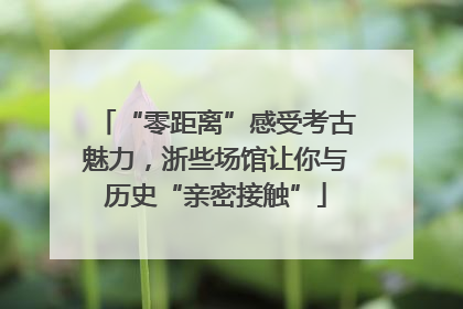 “零距离”感受考古魅力，浙些场馆让你与历史“亲密接触”