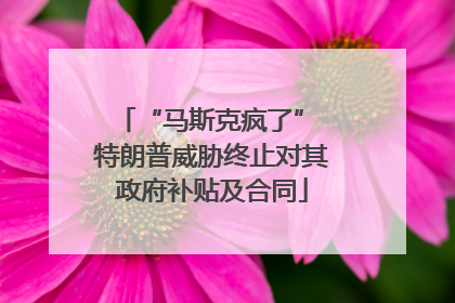 “马斯克疯了” 特朗普威胁终止对其政府补贴及合同