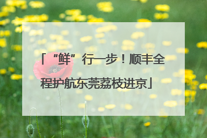 “鲜”行一步！顺丰全程护航东莞荔枝进京