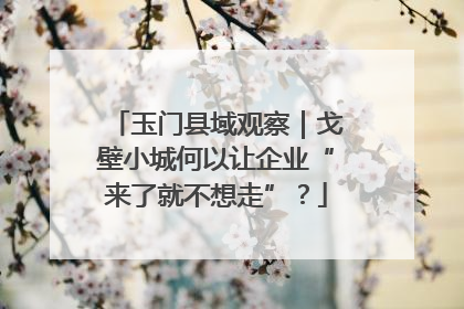 玉门县域观察｜戈壁小城何以让企业“来了就不想走”？