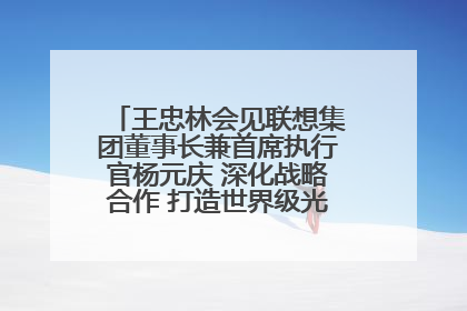 王忠林会见联想集团董事长兼首席执行官杨元庆 深化战略合作 打造世界级光电子信息产业集群