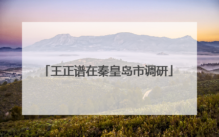 王正谱在秦皇岛市调研