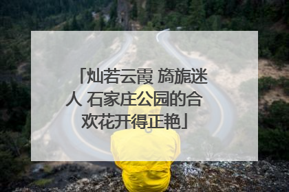 灿若云霞 旖旎迷人 石家庄公园的合欢花开得正艳