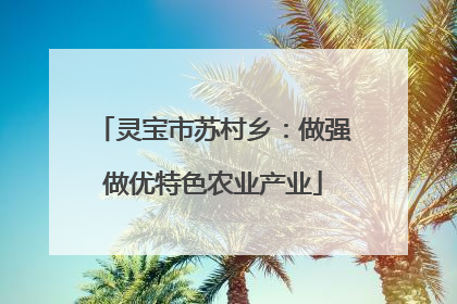 灵宝市苏村乡：做强做优特色农业产业
