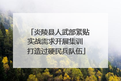 炎陵县人武部紧贴实战需求开展集训 打造过硬民兵队伍