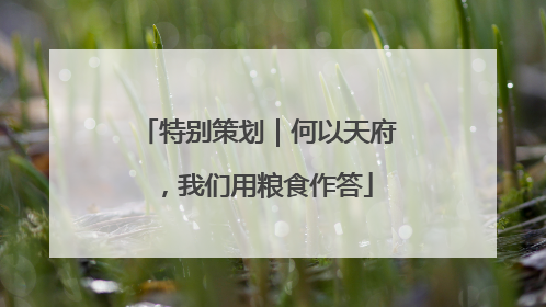 特别策划｜何以天府，我们用粮食作答