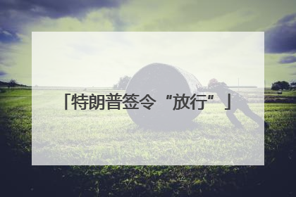 特朗普签令“放行”