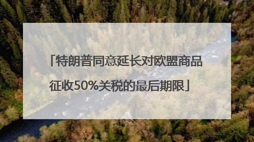 特朗普同意延长对欧盟商品征收50%关税的最后期限