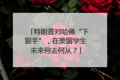 特朗普对哈佛“下狠手”，在美留学生未来何去何从？