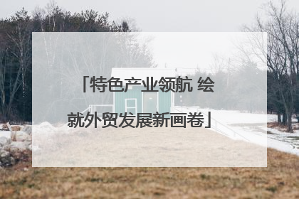 特色产业领航 绘就外贸发展新画卷
