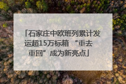 石家庄中欧班列累计发运超15万标箱 “重去重回”成为新亮点