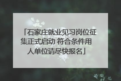 石家庄就业见习岗位征集正式启动 符合条件用人单位请尽快报名