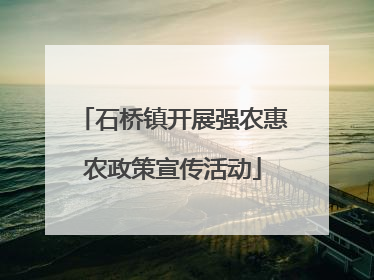 石桥镇开展强农惠农政策宣传活动