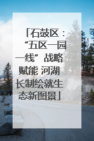 石鼓区：“五区一园一线”战略赋能 河湖长制绘就生态新图景