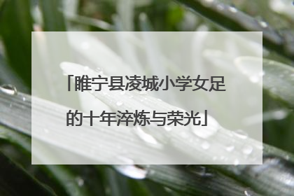 睢宁县凌城小学女足的十年淬炼与荣光