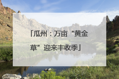 瓜州：万亩“黄金草”迎来丰收季
