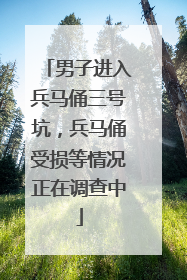 男子进入兵马俑三号坑，兵马俑受损等情况正在调查中