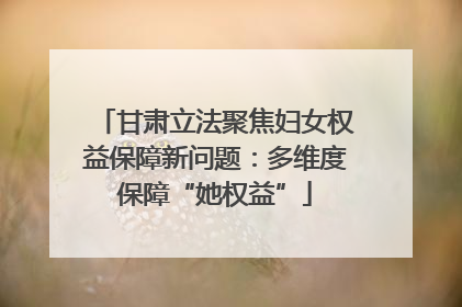甘肃立法聚焦妇女权益保障新问题：多维度保障“她权益”