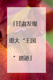 甘肃发现重大“王国”遗迹