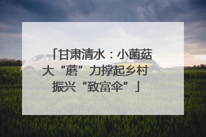甘肃清水：小菌菇大“蘑”力撑起乡村振兴“致富伞”
