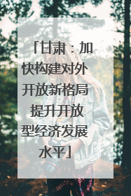 甘肃：加快构建对外开放新格局 提升开放型经济发展水平