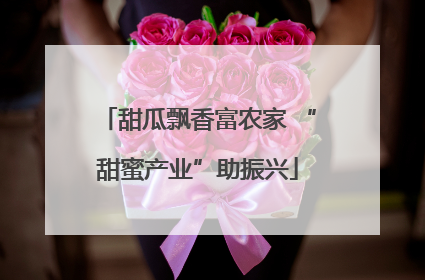 甜瓜飘香富农家 “甜蜜产业”助振兴