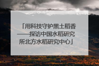 用科技守护黑土稻香——探访中国水稻研究所北方水稻研究中心