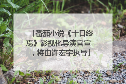 番茄小说《十日终焉》影视化导演官宣，将由许宏宇执导