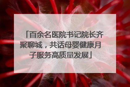 百余名医院书记院长齐聚聊城，共话母婴健康月子服务高质量发展