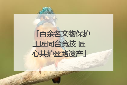 百余名文物保护工匠同台竞技 匠心共护丝路遗产