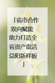 省市合作双向赋能 助力打造全省资产盘活益阳新样板