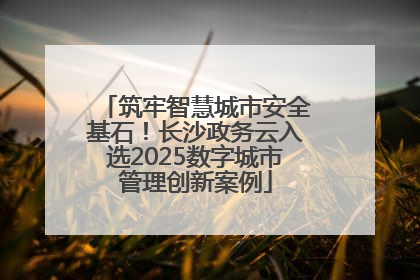 筑牢智慧城市安全基石！长沙政务云入选2025数字城市管理创新案例