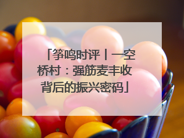 筝鸣时评丨一空桥村：强筋麦丰收背后的振兴密码