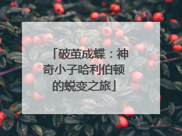 破茧成蝶：神奇小子哈利伯顿的蜕变之旅