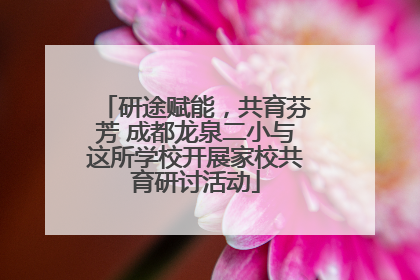 研途赋能，共育芬芳 成都龙泉二小与这所学校开展家校共育研讨活动