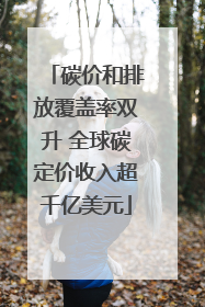 碳价和排放覆盖率双升 全球碳定价收入超千亿美元
