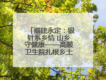 福建永定：银针系乡情 山乡守健康——高陂卫生院扎根乡土的“针”功夫