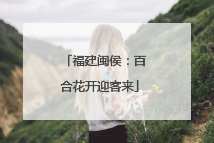 福建闽侯：百合花开迎客来