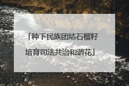 种下民族团结石榴籽 培育司法共治和谐花