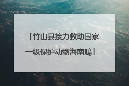 竹山县接力救助国家一级保护动物海南鳽
