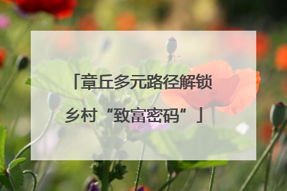 章丘多元路径解锁乡村“致富密码”