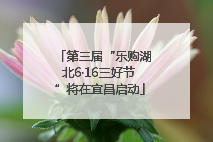 第三届“乐购湖北6·16三好节”将在宜昌启动