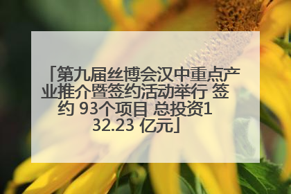 第九届丝博会汉中重点产业推介暨签约活动举行 签约 93个项目 总投资132.23 亿元