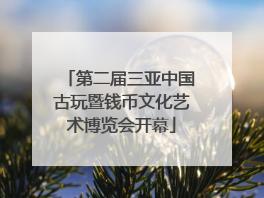 第二届三亚中国古玩暨钱币文化艺术博览会开幕
