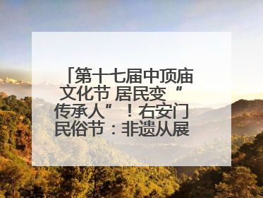 第十七届中顶庙文化节 居民变“传承人”！右安门民俗节：非遗从展柜走进烟火气