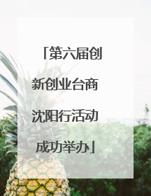 第六届创新创业台商沈阳行活动成功举办