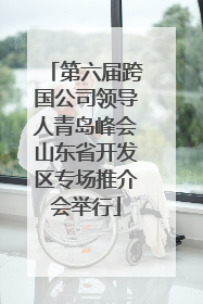 第六届跨国公司领导人青岛峰会山东省开发区专场推介会举行