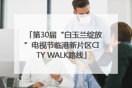 第30届“白玉兰绽放”电视节临港新片区CITY WALK路线